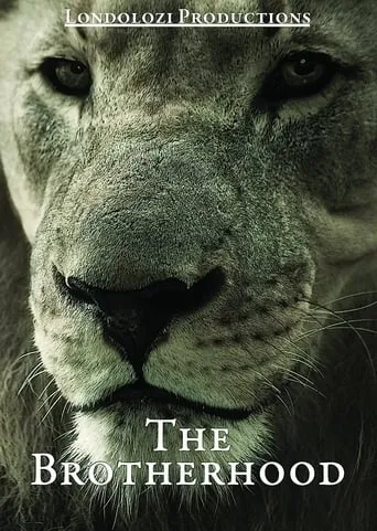 The Brotherhood movie poster - Entertainment content