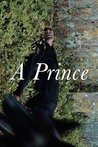 A Prince movie poster - Rated 4.1/10