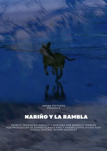 Nariño y la Rambla movie poster - Rated 10/10