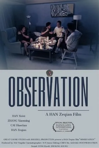 Observation movie poster - Rated 6/10