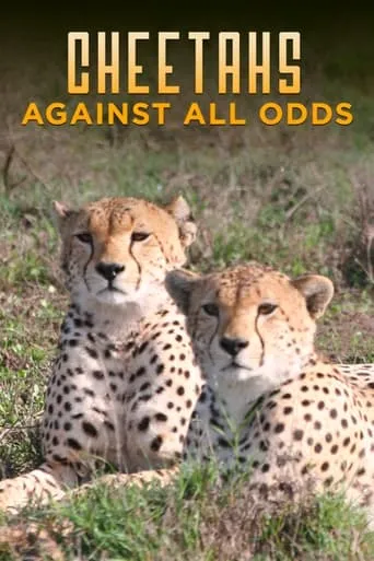 Cheetahs Against All Odds movie poster - Entertainment content