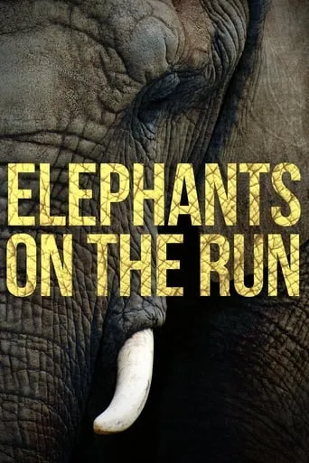 Elephants on the Run movie poster - Entertainment content