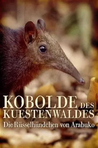 Rainforest Pixies: The Mysterious Rhynchocyon Shrew of Arabuko movie poster - Entertainment content