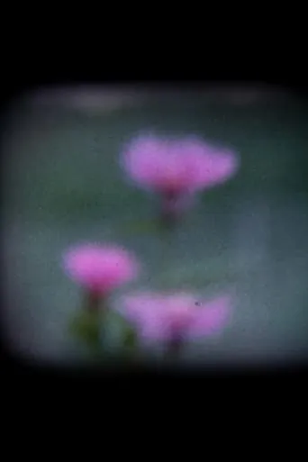 I Fiori Blu movie poster - Entertainment content