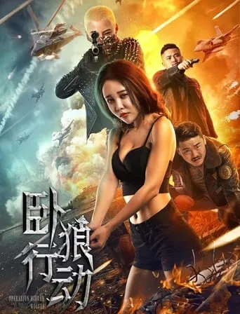 卧狼行动 movie poster - Entertainment content