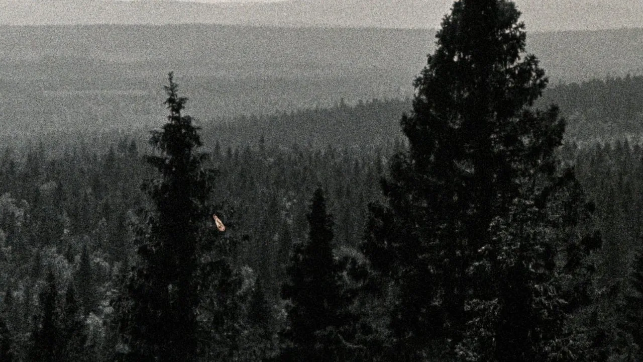 The Fleeting Horizon