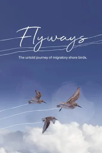 Flyways movie poster - Rated 9.3/10