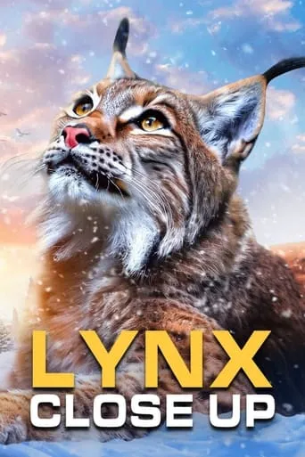 Lynx - Close Up movie poster - Rated 9/10