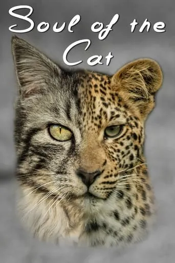 Soul of The Cat movie poster - Rated 5/10