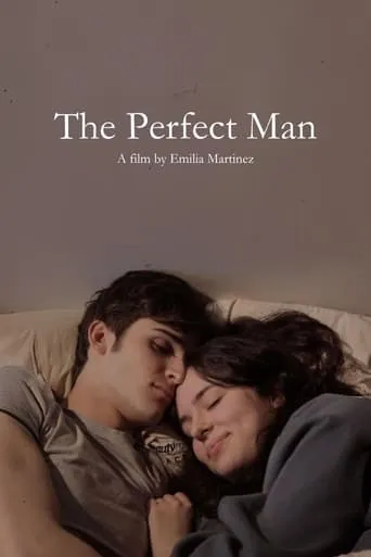 The Perfect Man movie poster - Rated 10/10