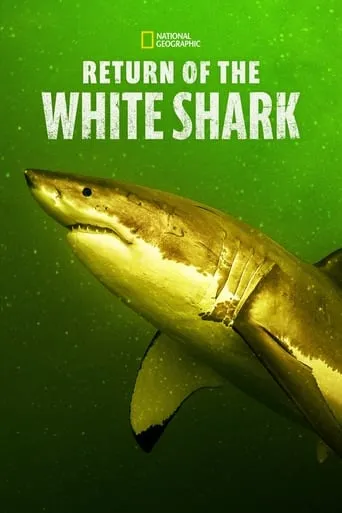Return of the White Shark movie poster - Rated 8/10