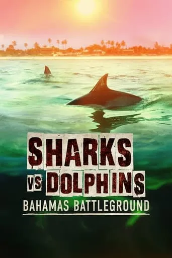 Sharks vs. Dolphins: Bahamas Battleground movie poster - Rated 10/10
