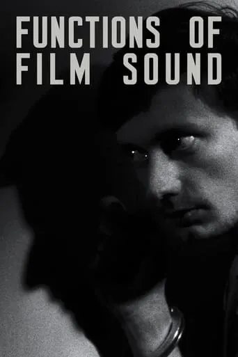 Functions of Film Sound movie poster - Entertainment content