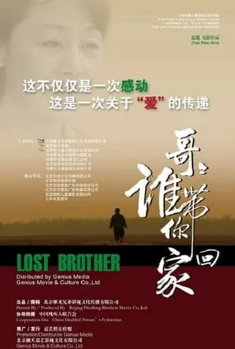 哥哥，谁带你回家 movie poster - Rated 9/10