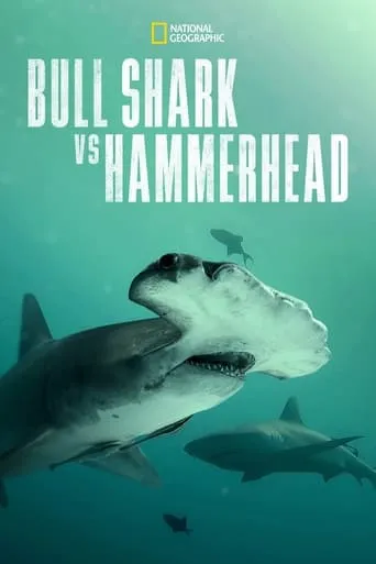 Bull Shark vs. Hammerhead movie poster - Rated 6.5/10