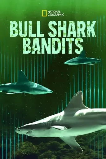 Bull Shark Bandits movie poster - Rated 10/10