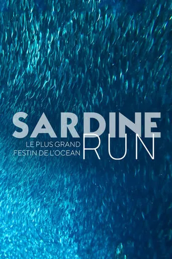 Sardine Run, le plus grand festin de l'océan movie poster - Rated 8/10