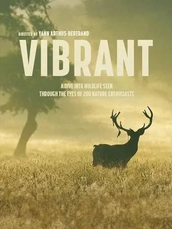 Vibrant movie poster - Rated 8.7/10