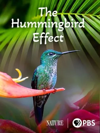 The Hummingbird Effect movie poster - Entertainment content