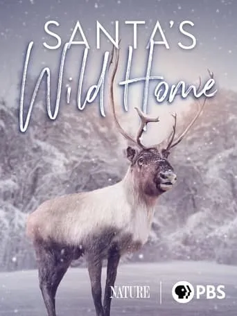 Santa's Wild Home movie poster - Rated 6/10