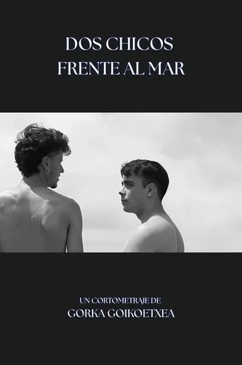 Dos Chicos Frente al Mar movie poster - Rated 10/10