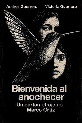 Bienvenida al Anochecer movie poster - Rated 1/10