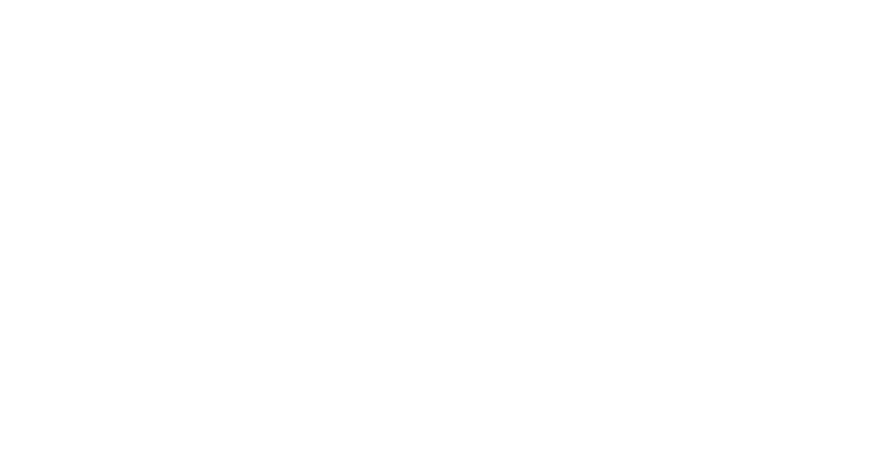 Public Enemies