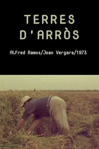 Terres d'arròs movie poster - Entertainment content