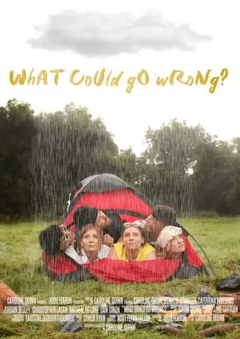 What Could Go Wrong? movie poster - Entertainment content