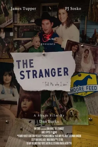 The Stranger movie poster - Rated 7.5/10