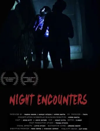 Night Encounters movie poster - Rated 10/10