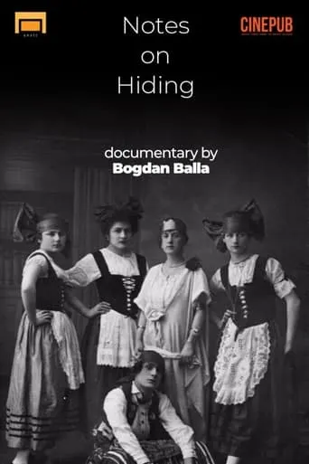 Notes on Hiding movie poster - Entertainment content