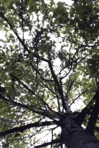 The Tree movie poster - Entertainment content
