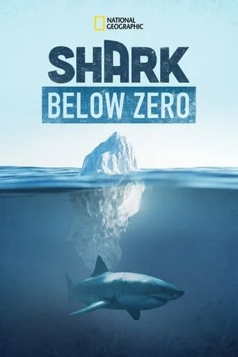 Shark Below Zero movie poster - Entertainment content