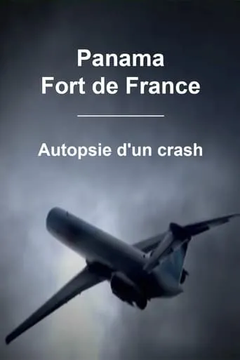 Panama - Fort de France : Autopsie d'un crash movie poster - Rated 8/10