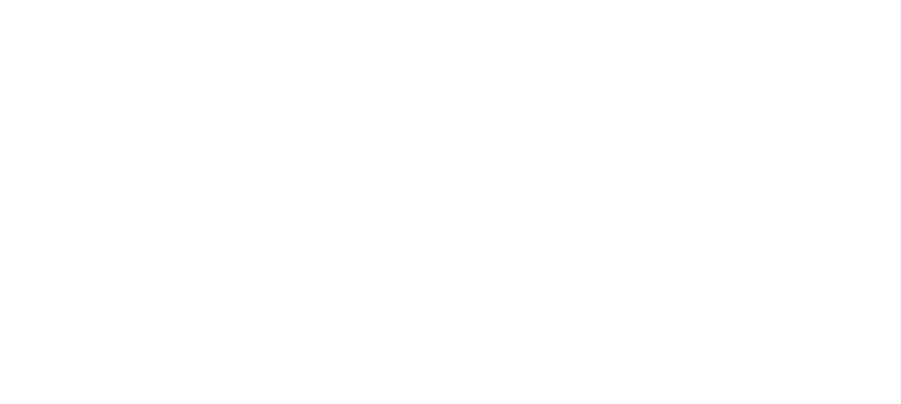 The Pregnancy Scheme