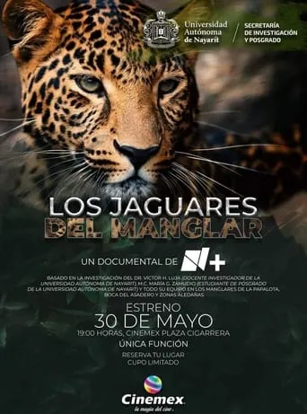 Los Jaguares del Manglar movie poster - Entertainment content