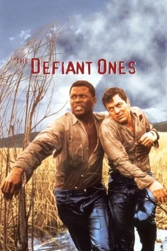 The Defiant Ones movie poster - Rated 7.122/10