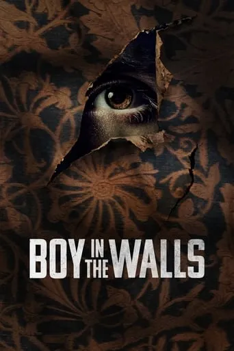 Boy in the Walls movie poster - Rated 4/10