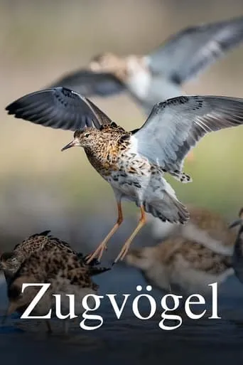 Zugvögel - Ein Jahr vergeht im Flug movie poster - Rated 8/10