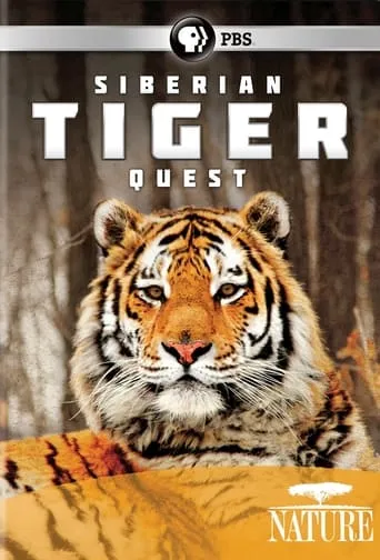 Siberian Tiger Quest movie poster - Entertainment content