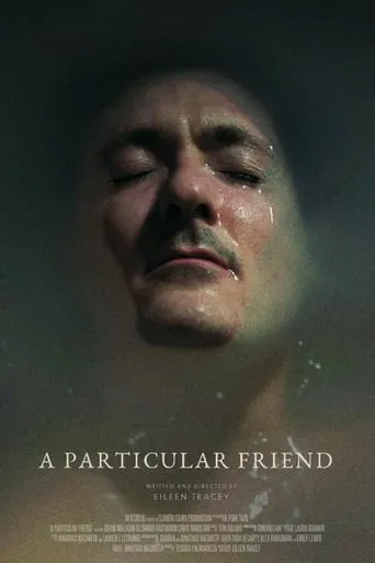 A Particular Friend movie poster - Entertainment content