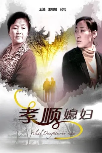 孝顺媳妇 movie poster - Entertainment content