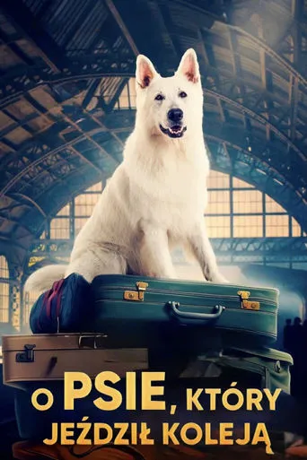 Lampo, the Travelling Dog movie poster - Rated 6.3/10