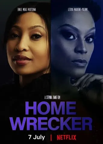 Home Wrecker movie poster - Rated 4.5/10