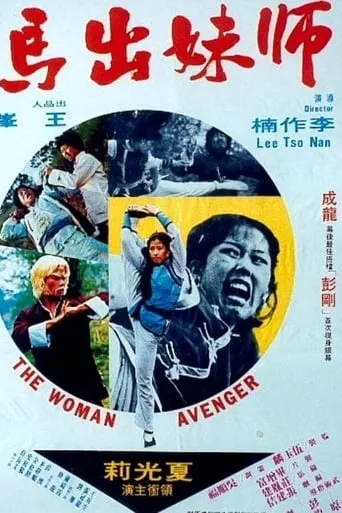 Woman Avenger movie poster - Rated 5.6/10
