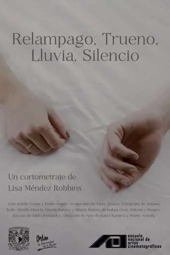 Silence After Storm movie poster - Entertainment content