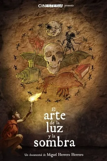 The Art of Light and Shadow movie poster - Entertainment content