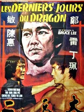 Martial Arts movie poster - Rated 8/10
