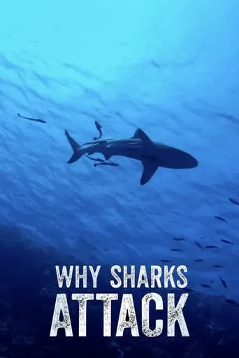 Why Sharks Attack movie poster - Entertainment content